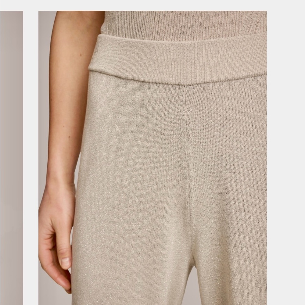 Never worn! NWT Donna Karen shimmer pants. Sand, with silver shimmer.